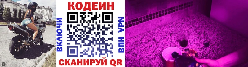 наркошоп  Кущёвская  Кодеин Purple Drank 