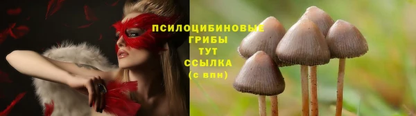 эйфоретик Аркадак