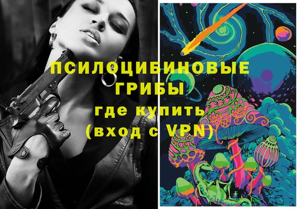 тгк Вяземский