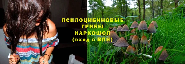 mdpv Вязьма